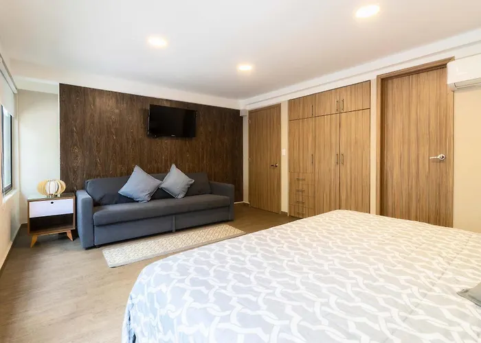 102 Centro 2bdrm 2bath Ac Rooftop * México DF